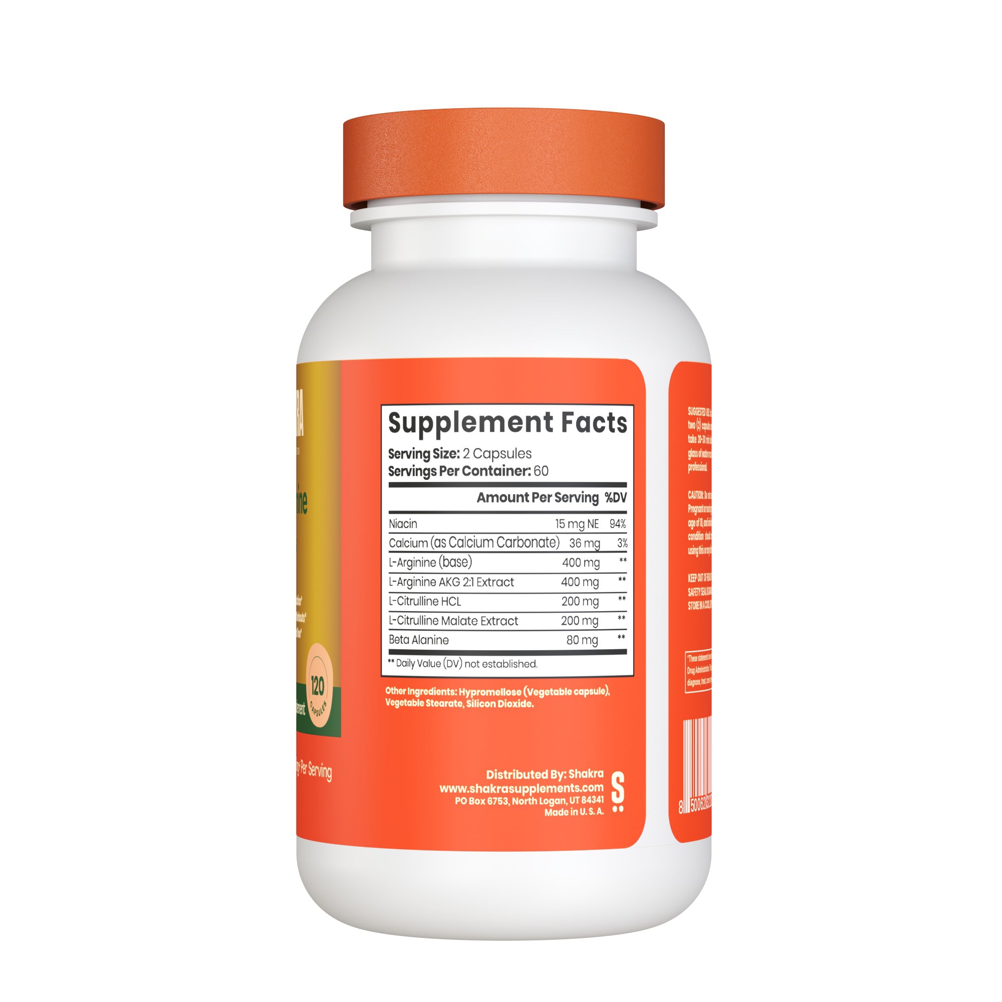 L- ARGININE PLUS .120